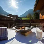 Montafon Ii - Chalet-apartments&ferienwohnungen * Sankt Gallenkirch
