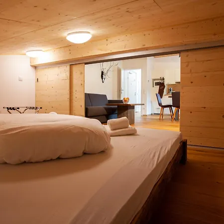 Montafon Ii - Chalet-apartments & Apartamento