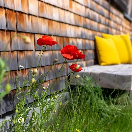 Montafon Ii - Chalet-apartments & Sankt Gallenkirch